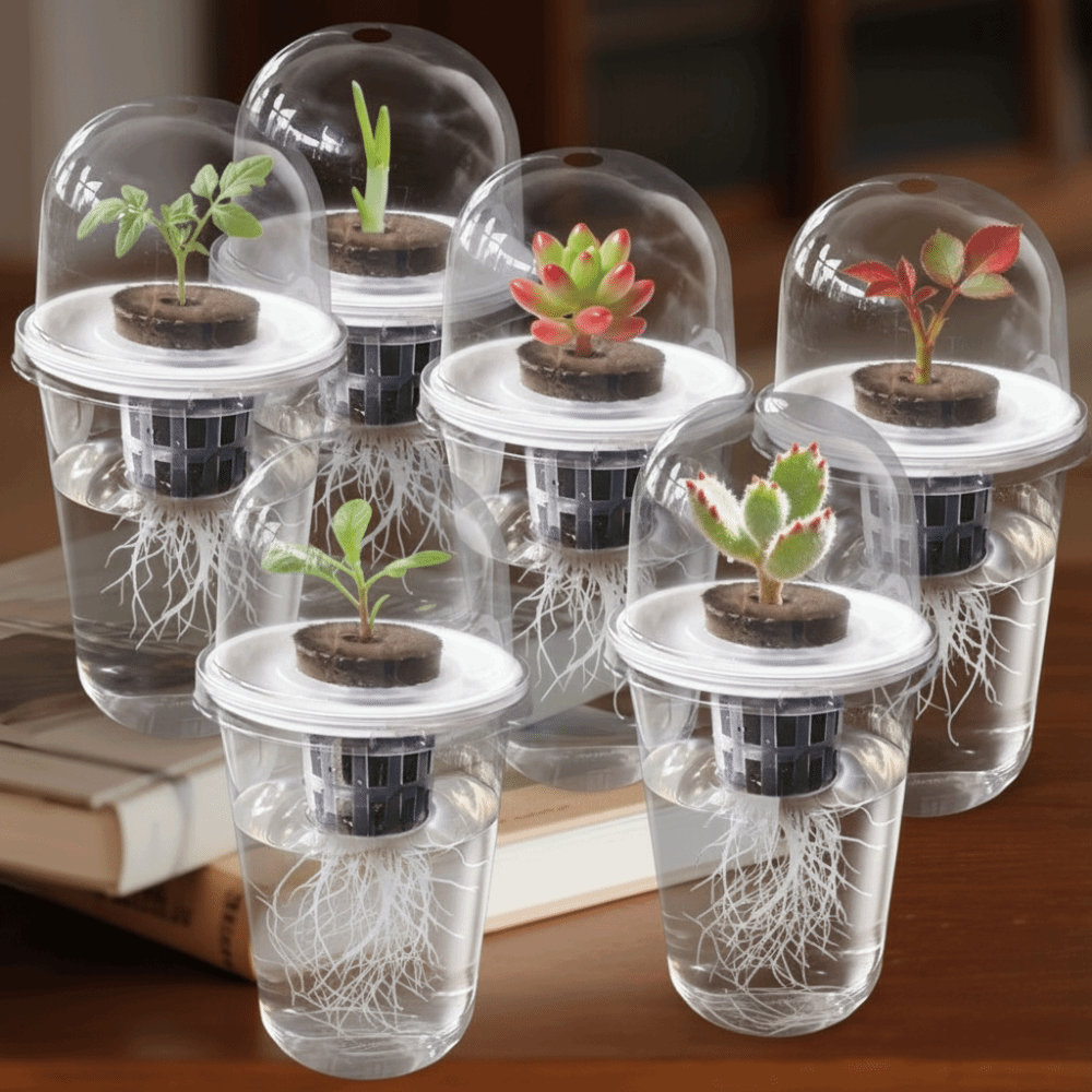 Net Pot 3 Inch - 1-5 adet Görünür Şeffaf Bitki Çimlendirme