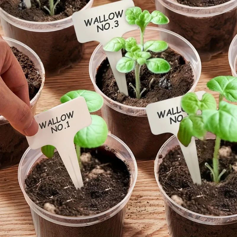 72 adet/takım Şeffaf Fidanlık  - Net Pot 3 Inch incelemesi ve fiyatı