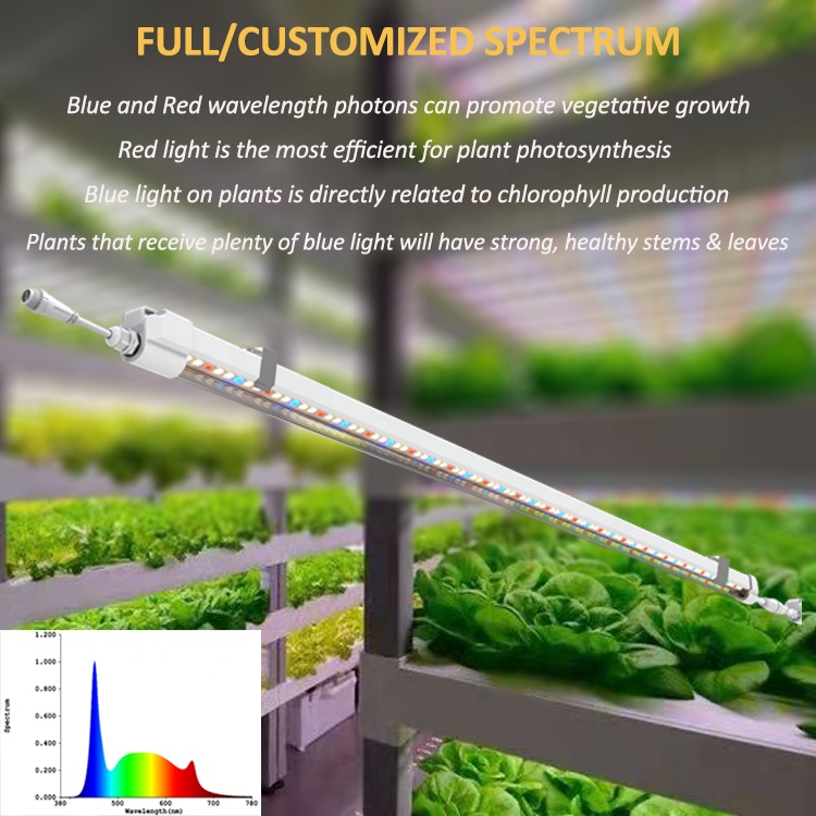 T5 Büyüme Lambaları 120 cm Hid - Grow Light T5 incelemesi ve fiyatı
