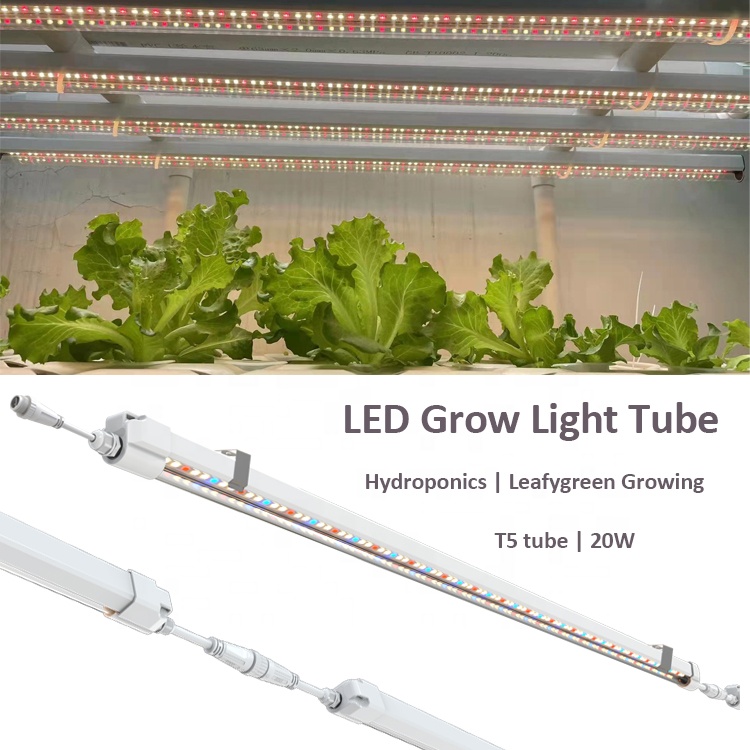 T5 Büyüme Lambaları 120 cm Hid - Grow Light T5 incelemesi ve fiyatı