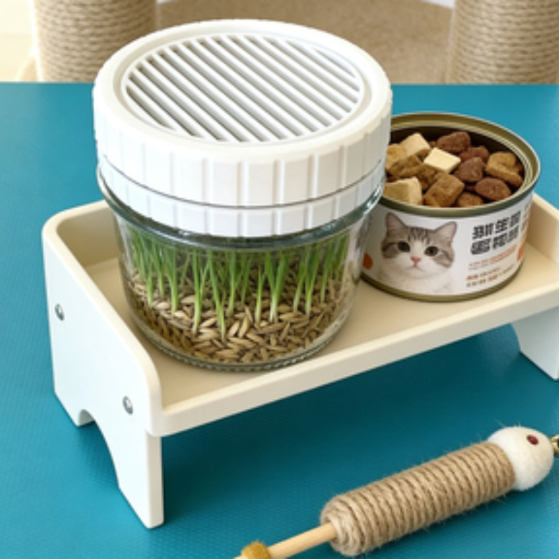 Minimalist Beyaz Kedi Çimi Yet - Net Pot 3 Inch incelemesi ve fiyatı