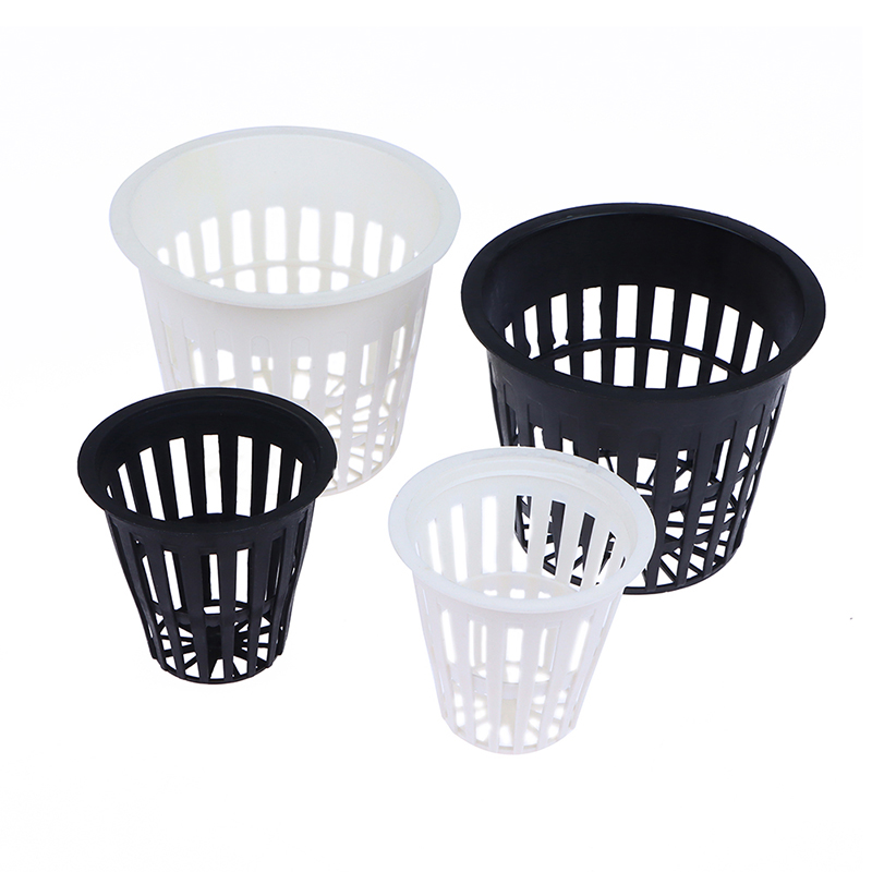 10 adet 2/3 inç büyümek orkide - Net Pot 3 Inch incelemesi ve fiyatı