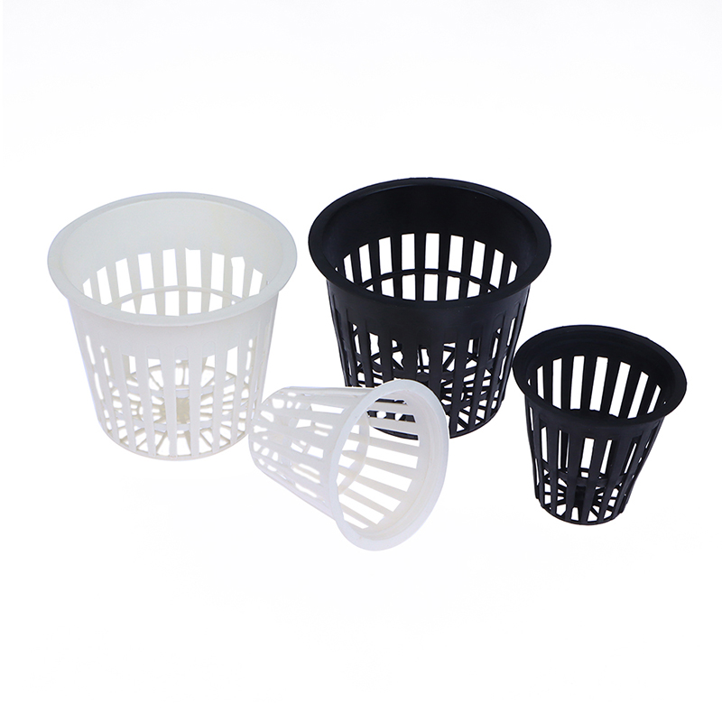 10 adet 2/3 inç büyümek orkide - Net Pot 3 Inch incelemesi ve fiyatı