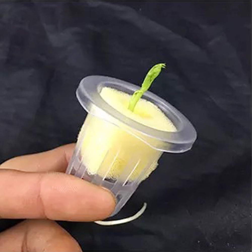 10 Adet Hidroponik File Saksıl - Net Pot 3 Inch incelemesi ve fiyatı