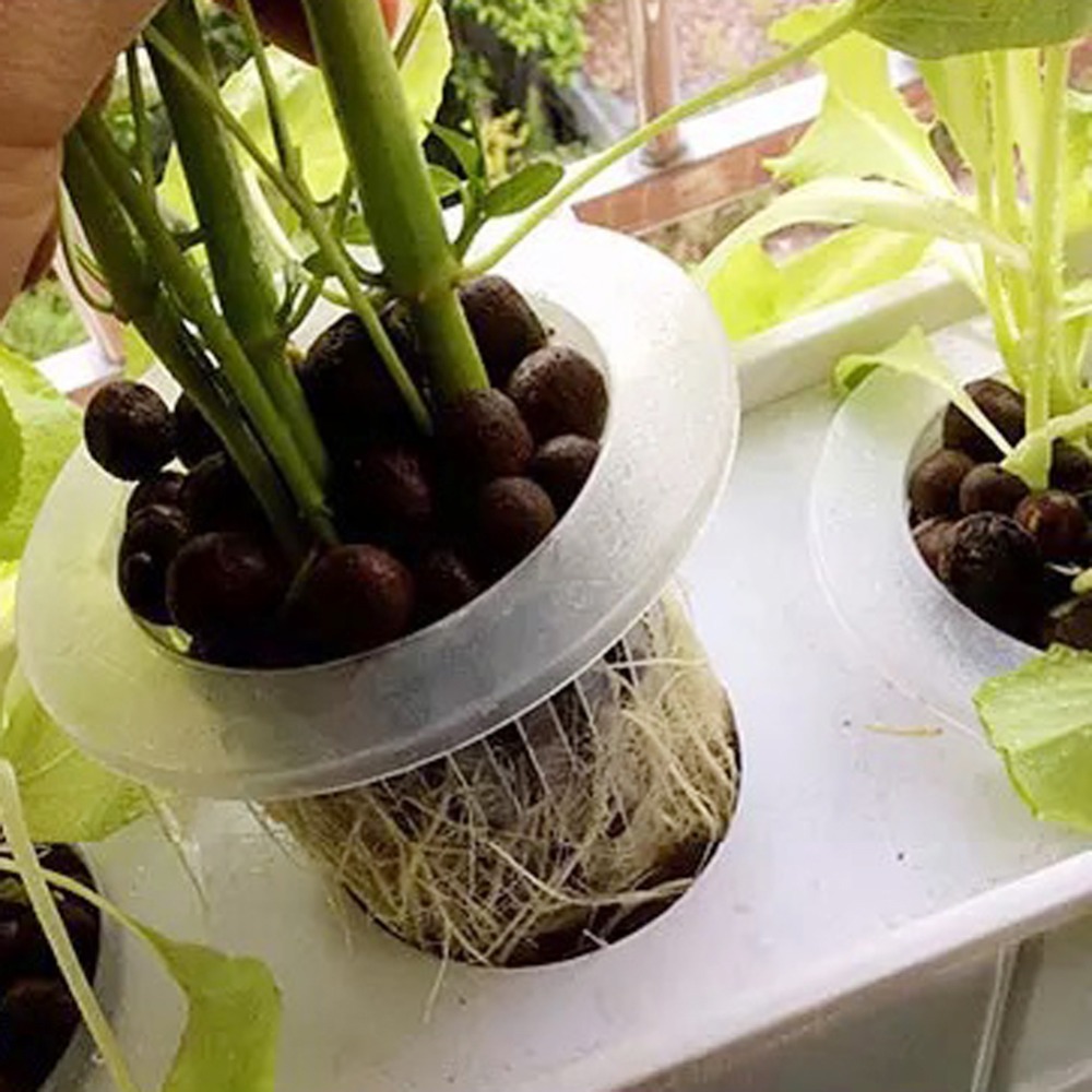 10 Adet Hidroponik File Saksıl - Net Pot 3 Inch incelemesi ve fiyatı